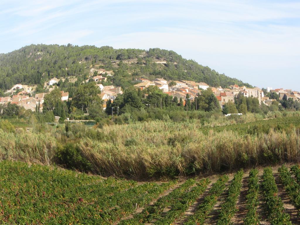 Chambre D'Hotes Le Laurier Blanc Portel-des-Corbieres Buitenkant foto