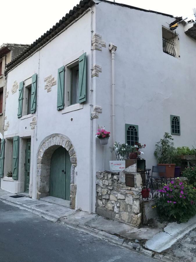 Chambre D'Hotes Le Laurier Blanc Portel-des-Corbieres Buitenkant foto